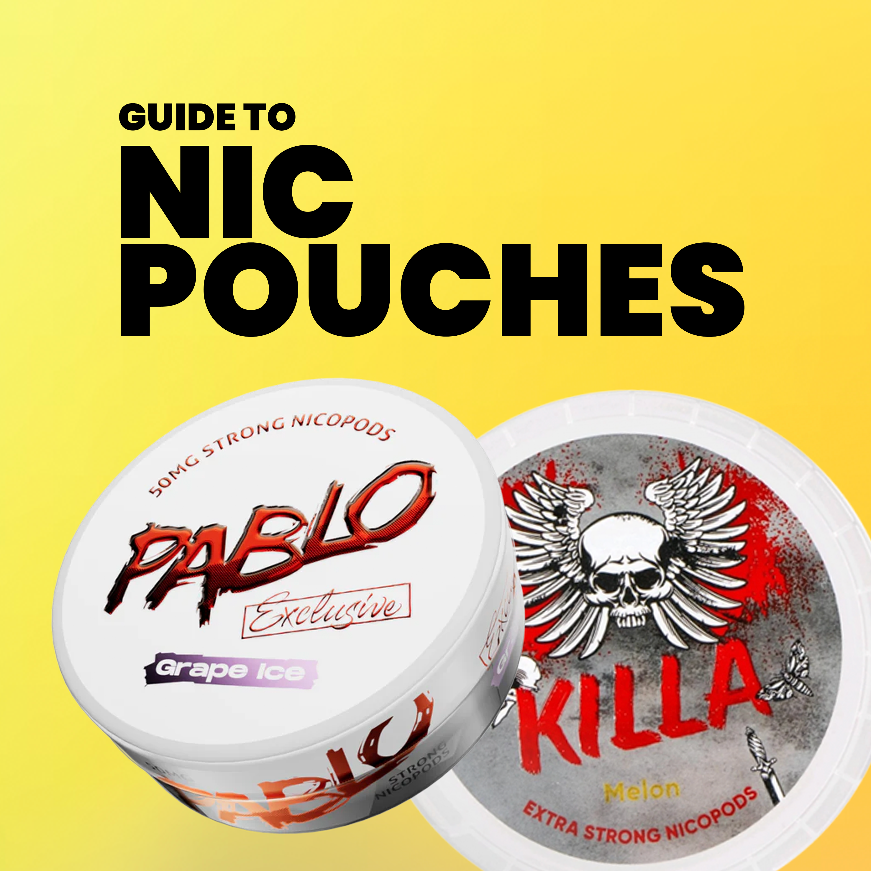 Guide to Nicotine Pouches – inthecloudsstore